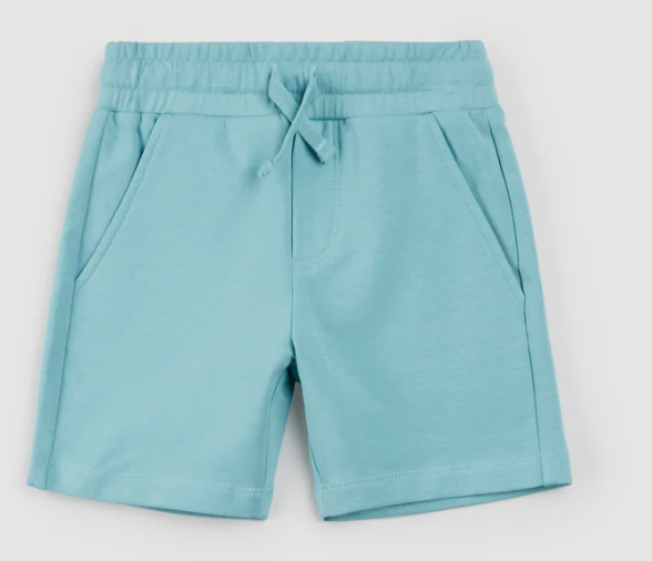Reef Terry Shorts
