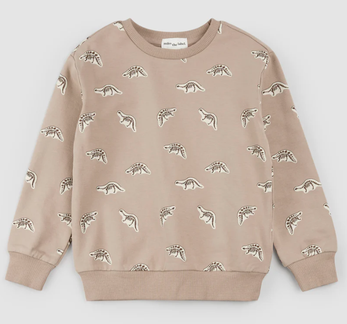 Dino Fossil Print on Taupe Sweatshirt