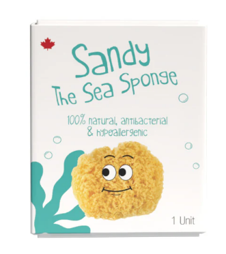 Sandy the Sea Sponge