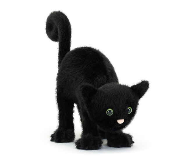 Spookipaws Cat