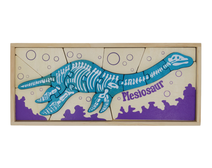 Plesiosaur Dino Skeleton Puzzles - Double Sided Dinosaur Fun