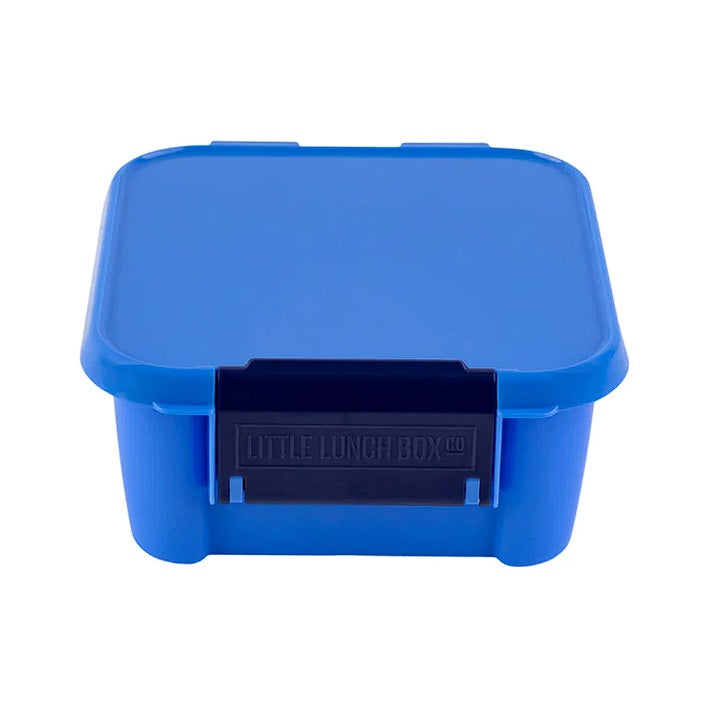 Bento Two - Blueberry Blue