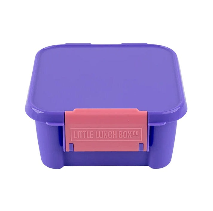 Bento Two - Grape Purple