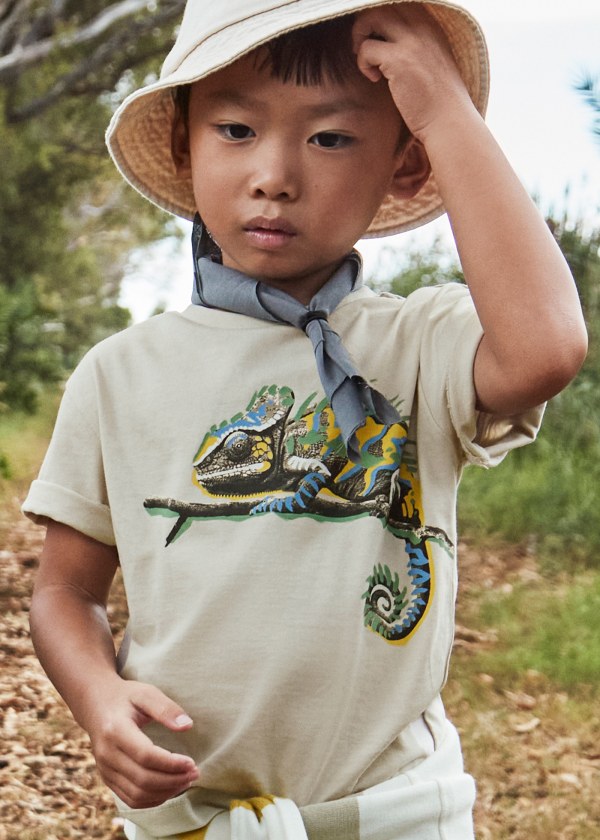 Chameleon Graphic T-Shirt