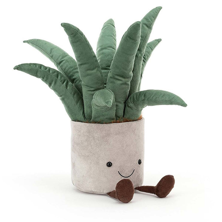 Amuseable Aloe Vera